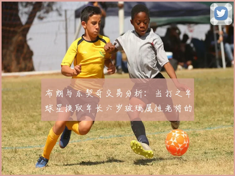布朗与东契奇交易分析：当打之年球星换取年长六岁玻璃属性老将的利弊探讨